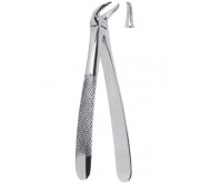 Extracting Forceps